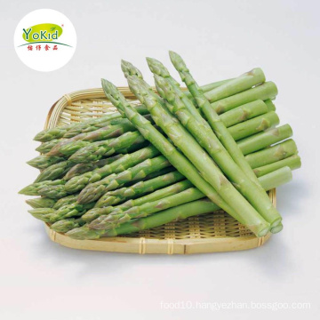 Bulk wholesale distribute IQF Frozen asparagus